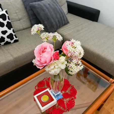 Apartmani Mandic With Parking Zadar Exterior photo